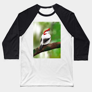 Araripe Manakin Baseball T-Shirt